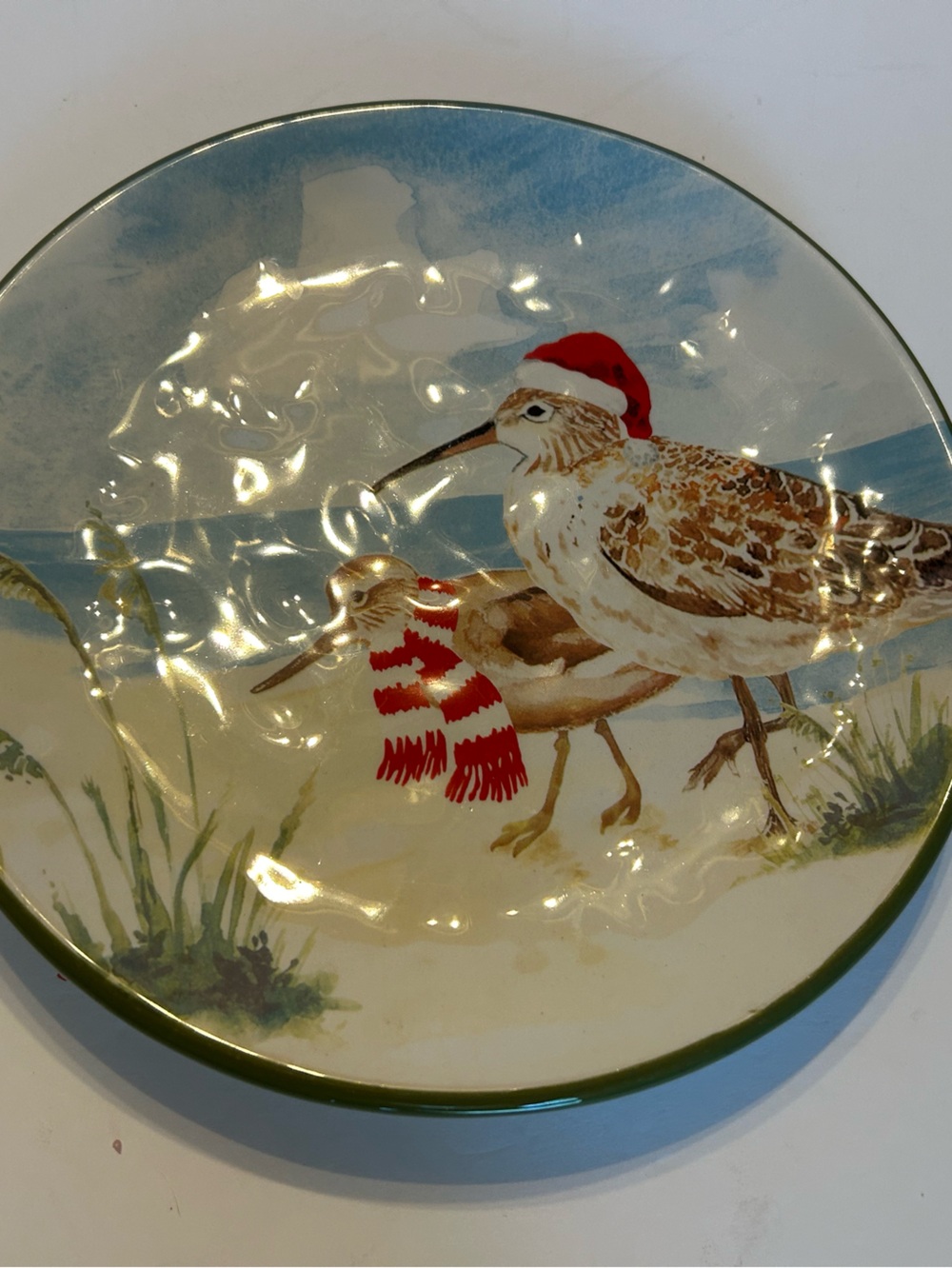 Pier 1 Coastal Bird Holiday Plate in Blue, Red, Green, Brown